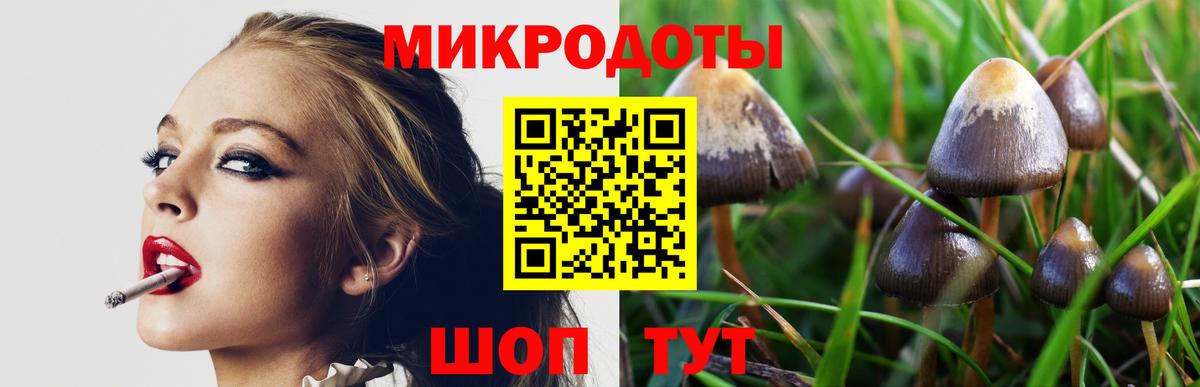купить наркотик  Галлюциногенные грибы Psilocybine cubensis  Вход с VPN  Псилоцибиновые грибы мицелий  Ипатово 